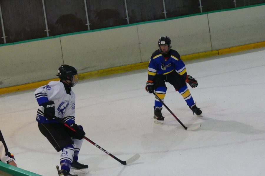 Torneo Internacional de Boadilla U14