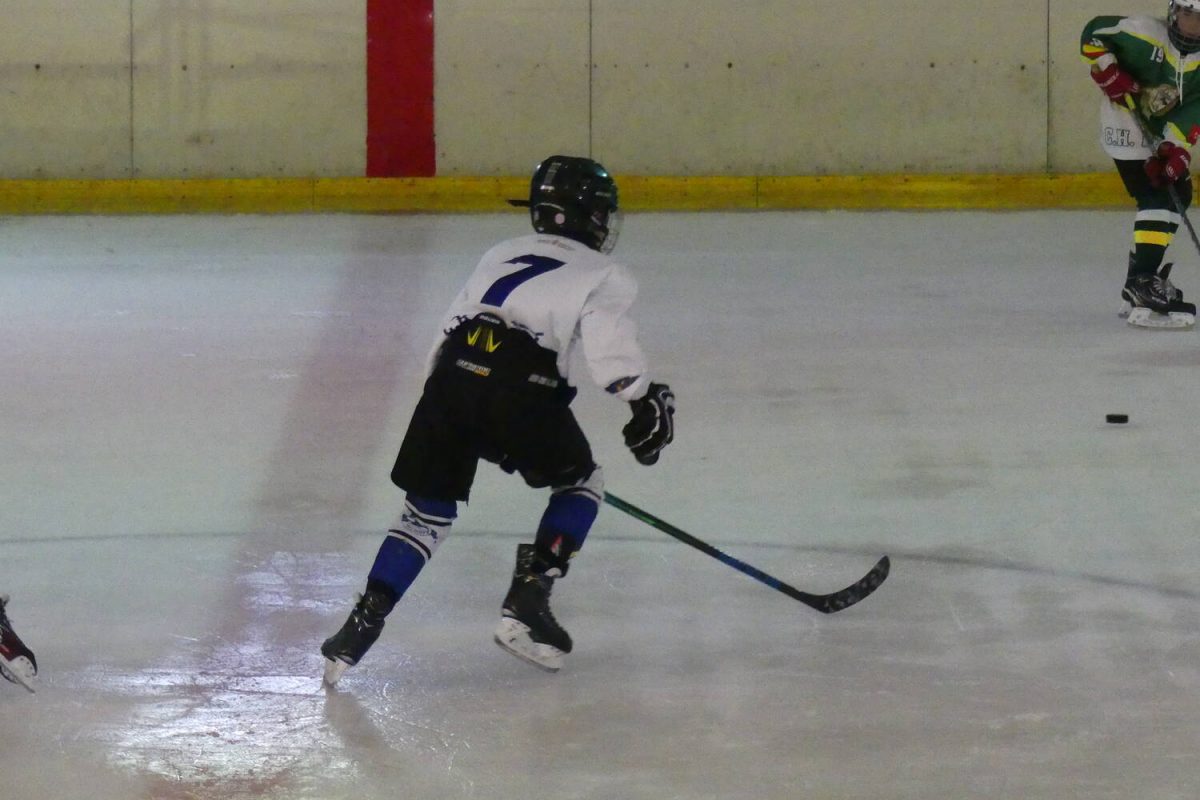 Torneo Internacional de Boadilla U14