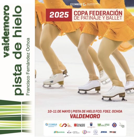 COPA FEDERACIÓN